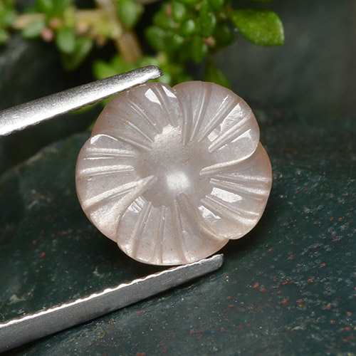 Piedra de luna naranja natural de 4,01 ct, corte flor, translúcido