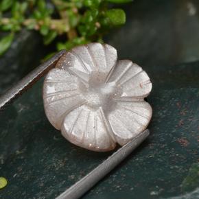 Piedra de luna naranja natural de 6,41 ct, corte flor, translúcido