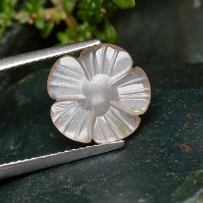 Piedra de Luna Naranja claro natural de 2.64 ct, Corte Flor, Translúcido