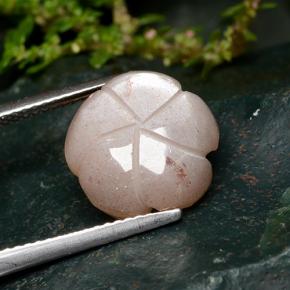 Piedra de Luna Naranja durazno natural de 5.57 ct, Corte Flor, Translúcido