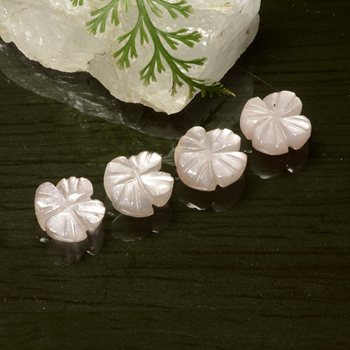 Gemas de Piedra de Luna Rosado muy claro natural de 5.06 ct, Corte Flor, Translúcido