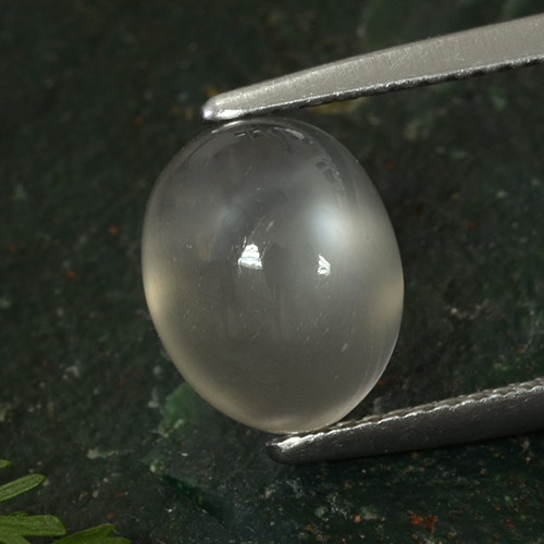Piedra de luna gris natural de 3,50 ct, corte óvalo, translúcido