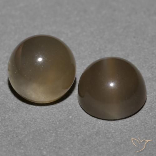 Gemas de Piedra de Luna Marrón medio natural de 1.21 ct, Redondo, Translúcido