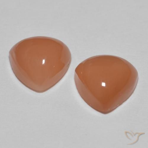Gemas de Piedra de Luna Naranja sidra natural de 3.61 ct, Trillón, Translúcido