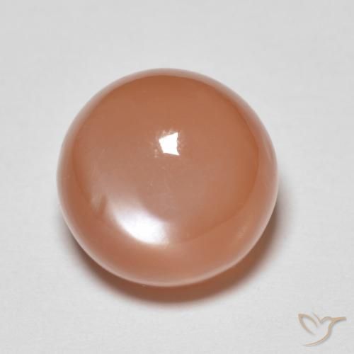 5.46ct Natural Naranja durazno Piedra de Luna, Redondo, Translúcido