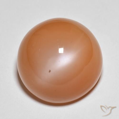 18.54ct Natural Naranja rojizo claro Piedra de Luna, Redondo, Translúcido
