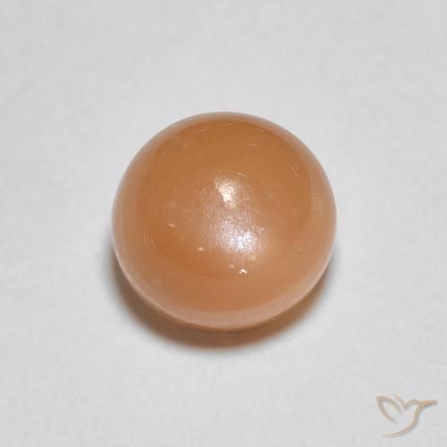 1.22ct Natural Naranja melocotón vívido Piedra de Luna, Redondo, Translúcido