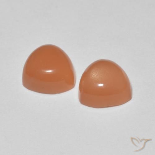 Gemas de Piedra de Luna Naranja rojizo claro natural de 1.58 ct, Trillón, Translúcido
