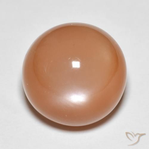 13.61ct Natural Naranja cantaloupe Piedra de Luna, Redondo, Translúcido