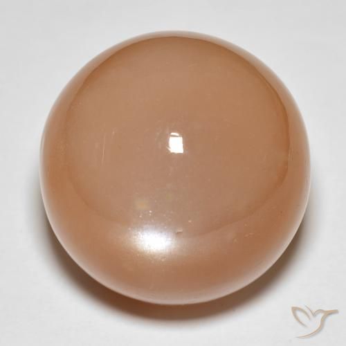 31.92ct Natural Naranja cantaloupe Piedra de Luna, Redondo, Translúcido