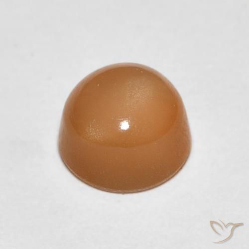 Piedra de Luna Naranja cantaloupe natural de 1.19 ct, Redondo, Translúcido