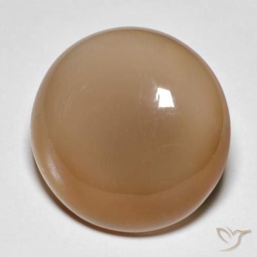 18.95ct Natural Naranja cantaloupe Piedra de Luna, Redondo, Translúcido