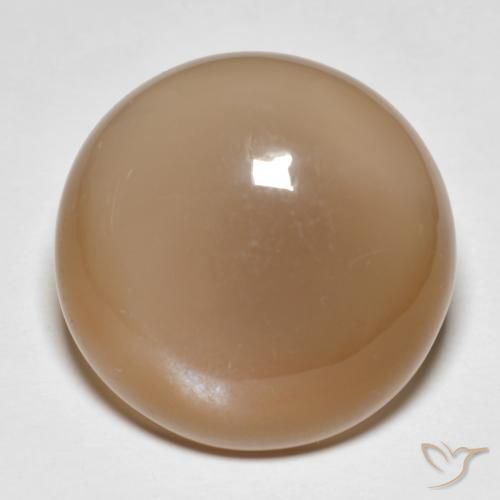 Piedra de Luna Naranja cantaloupe natural de 18.95 ct, Redondo, Translúcido