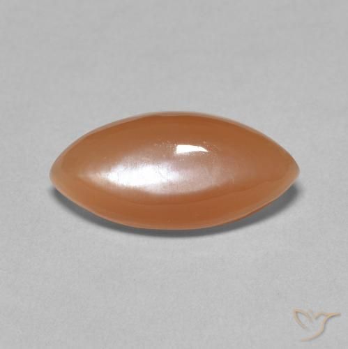 3.03ct Natural Naranja medio Piedra de Luna, Marquesa, Translúcido