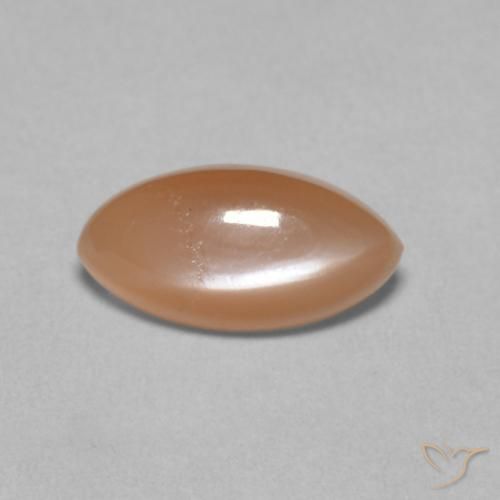 1.25ct Natural Naranja cantaloupe pálido Piedra de Luna, Marquesa, Translúcido