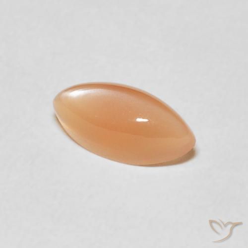Piedra de Luna Medium Light-Orange natural de 1.27 ct, Marquesa, Translúcido