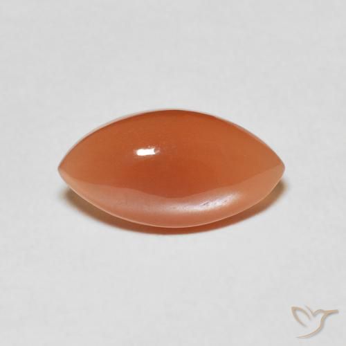 2.80ct Natural Naranja medio Piedra de Luna, Marquesa, Translúcido