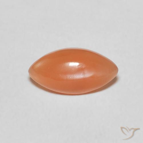 0.89ct Natural Naranja medio Piedra de Luna, Marquesa, Translúcido
