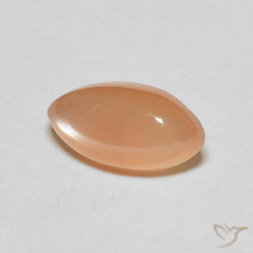 Piedra de Luna Medium Light-Orange natural de 1.47 ct, Marquesa, Translúcido