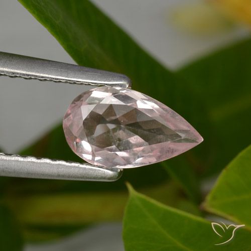0.55ct Natural Rosado flamingo Morganita, En forma de pera, VVS-VS