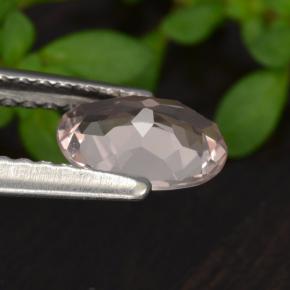 Morganita Rosado claro natural de 0.60 ct, Corte Óvalo, VVS