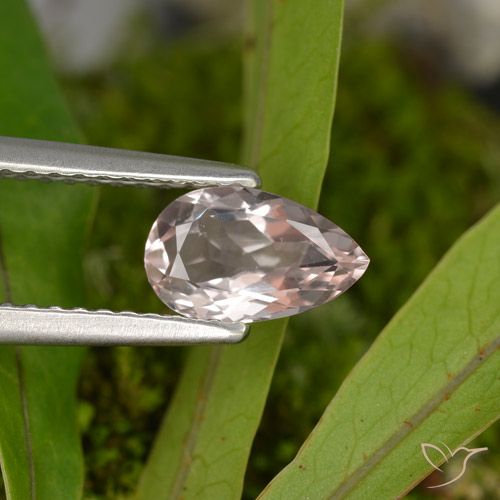 0.69ct Natural Rosado flamingo Morganita, En forma de pera, VVS-VS