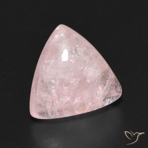Morganita Rosado coral claro natural de 4.11 ct, Trillón, Transparente