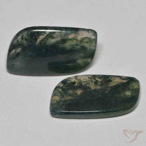 Gemas de Ágata musgosa Multicolor natural de 22.84 ct, Elegante, Transparente