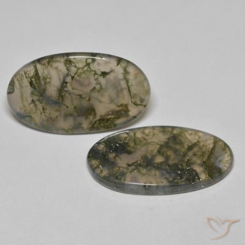 Gemas de Ágata musgosa Multicolor natural de 19.45 ct, Ovalada, Transparente