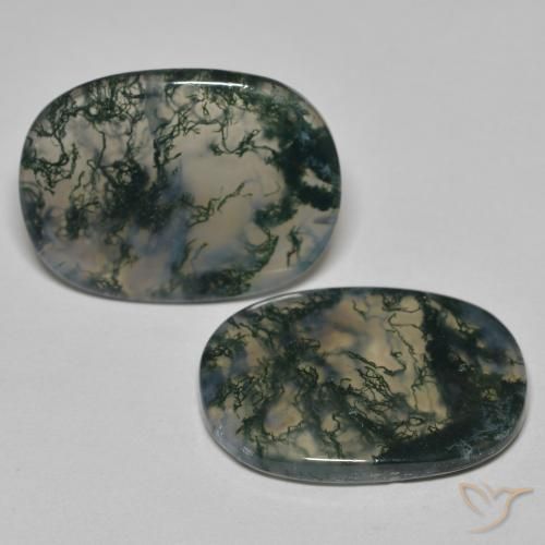 Gemas de Ágata musgosa Multicolor natural de 23.13 ct, Forma Cojín, Transparente