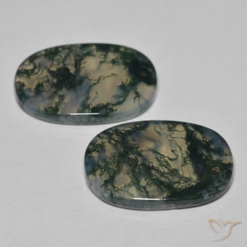 Gemas de Ágata musgosa Multicolor natural de 23.13 ct, Forma Cojín, Transparente