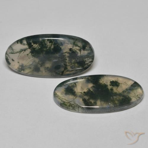 Gemas de Ágata musgosa Multicolor natural de 24.65 ct, Ovalada, Transparente