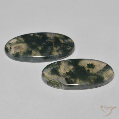 Gemas de Ágata musgosa Multicolor natural de 24.65 ct, Ovalada, Transparente