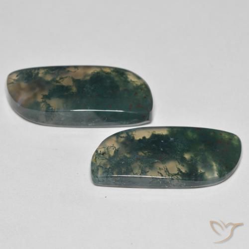 Gemas de Ágata musgosa Multicolor natural de 19.80 ct, Elegante, Transparente