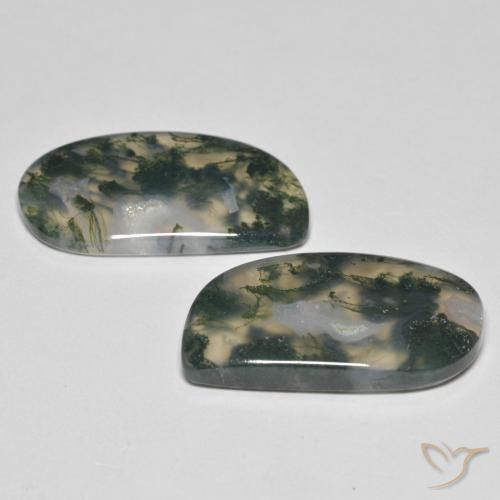 Gemas de Ágata musgosa Multicolor natural de 23.30 ct, Elegante, Transparente