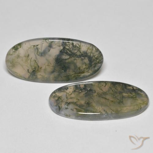 Gemas de Ágata musgosa Multicolor natural de 26.37 ct, Ovalada, Transparente