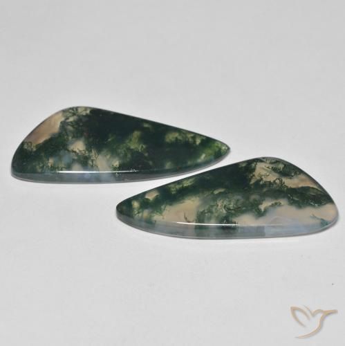 Gemas de Ágata musgosa Multicolor natural de 23.57 ct, Elegante, Transparente