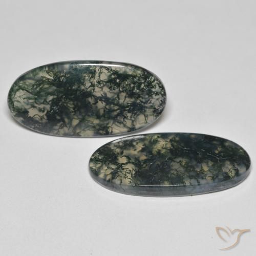 Gemas de Ágata musgosa Multicolor natural de 25.55 ct, Ovalada, Transparente
