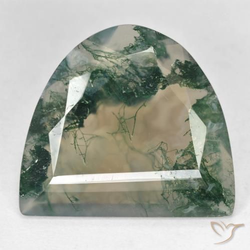 Ágata musgosa multicolor natural de 18,92 ct, forma elegante, transparente