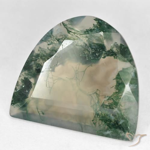 Ágata musgosa multicolor natural de 18,92 ct, forma elegante, transparente