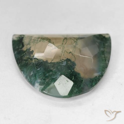 Ágata musgosa multicolor natural de 18,92 ct, forma elegante, transparente