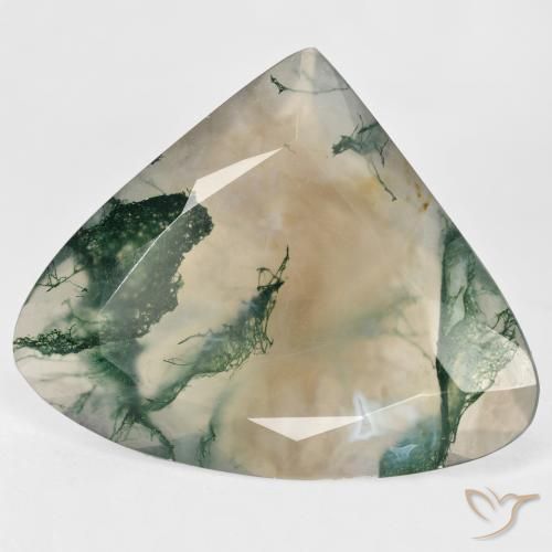 Ágata musgosa Multicolor natural de 29.68 ct, En forma de pera, Transparente