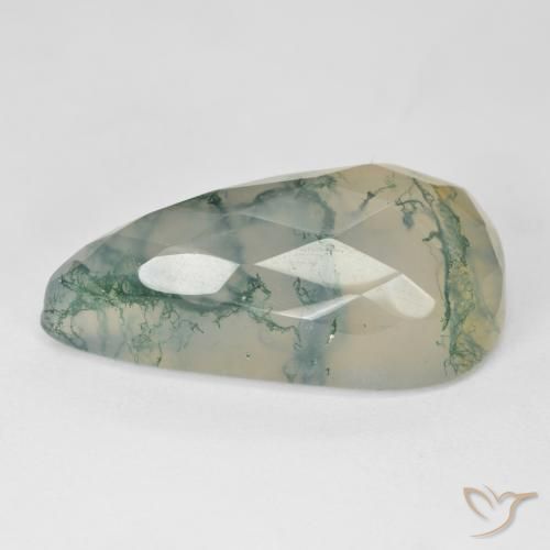 Ágata musgosa Verde claro natural de 19.03 ct, Elegante, Translúcido