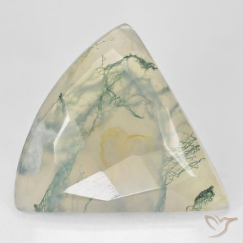 Ágata musgosa verde natural de 26,18 ct, trillón, translúcido