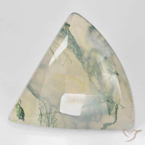 Ágata musgosa verde natural de 26,18 ct, trillón, translúcido