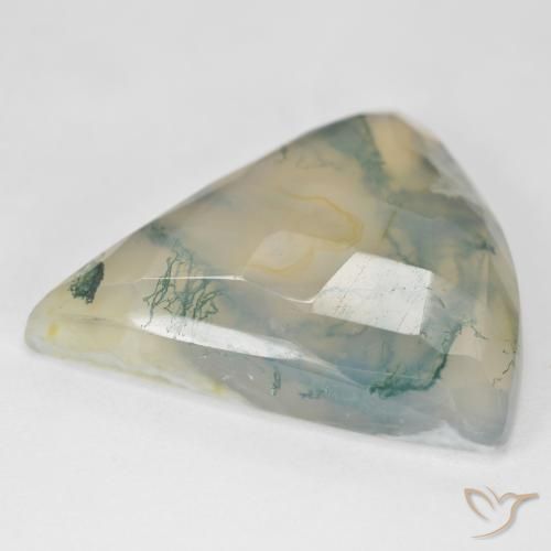 Ágata musgosa verde natural de 26,18 ct, trillón, translúcido