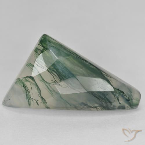Ágata musgosa verde natural de 23,60 ct, forma elegante, translúcido