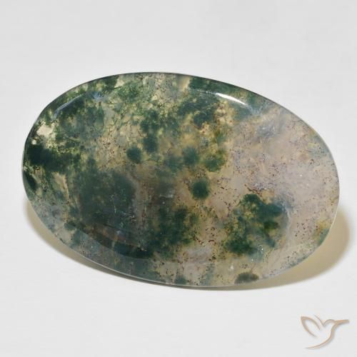 Ágata musgosa Multicolor natural de 52.44 ct, Ovalada, Translúcido