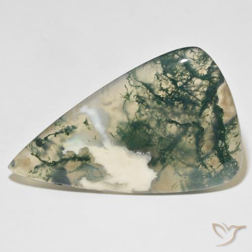 65.25ct Natural Multicolor ágata de musgo, En forma de pera, Translúcido
