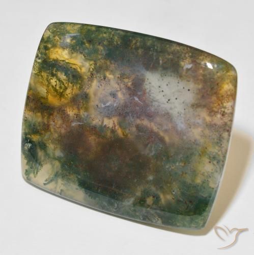 Ágata musgosa Multicolor natural de 86.48 ct, Forma Cojín, Translúcido
